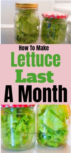 lettuce in jars with the words how to make your lettuce last for a month