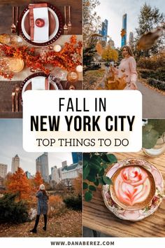 the top things to do in new york city, including fall foliage and pumpkins