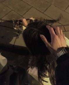 a person petting a cat on the back of their head while standing next to a sidewalk