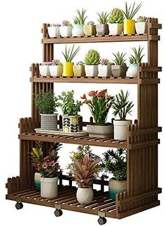 a wooden shelf filled with lots of potted plants