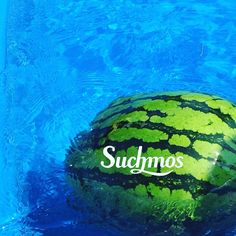 a watermelon sitting in the middle of a pool with its name on it