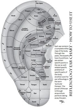 Ear Reflexology, Ear Acupuncture, Ear Seeds, Movement Therapy, Body Movement, How To Relieve Headaches