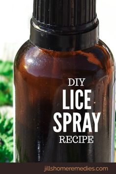 Here's an easy way to make a DIY lice prevention spray that uses essential oils. No harmful chemicals needed! Homemade Lice Prevention Spray, Tea Tree Oil For Lice Prevention, Essential Oil Lice Spray, Essential Oils For Lice Prevention, Lice Essential Oil Spray, Essential Oil Lice Prevention Spray, Diy Lice Prevention Spray, Diy Lice Spray For Furniture, Lice Spray Essential Oils