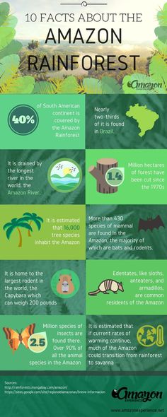 an info poster with information about the amazon rainforest