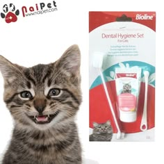 a cat with its mouth open and toothbrush in front of it's packaging