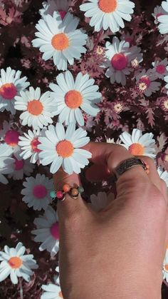 a person's hand holding onto some daisies