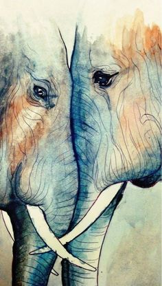 two elephants with their trunks touching each other