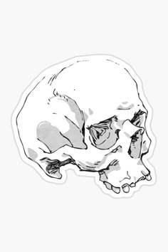 Anatomical skull sticker. Grayscale illustration of a human skull. Comes in a variety of sizes. Durable and water-resistant, with a matte finish. Bleach Tshirt, Anatomical Skull, Skeleton Drawing, Sticker Drawing, Drawing Study, Ink Pen Art, Skeleton Drawings, Skeleton Sticker, Metal Head