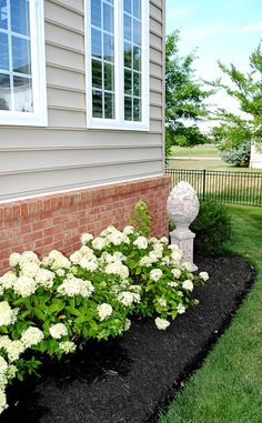 white flowers are growing in the black flower bed