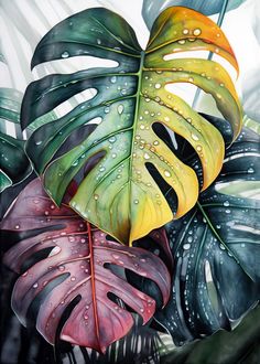 a painting of leaves with drops of water on them, and one large green leaf is in the foreground