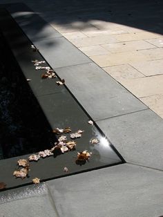 leaves are on the ground next to a water feature that is reflecting light and shadows