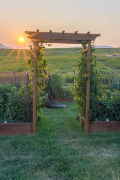 the sun is setting over an outdoor vegetable garden with raised beds and trelliss