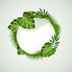 an image of green leaves in the shape of a circle