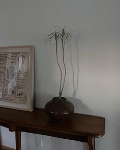 a potted plant sitting on top of a wooden table next to a framed photograph