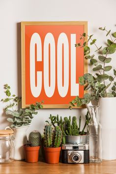 an orange sign that says cool above some potted plants and a camera on a table