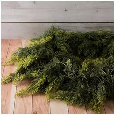 a pile of green plants sitting on top of a wooden floor