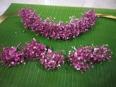 some purple flowers are laying on a green surface