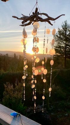 a wind chime hanging from a tree branch at sunset