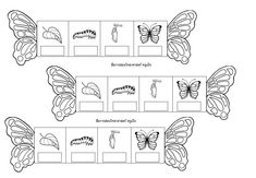 the butterfly life cycle worksheet for kids to learn how to draw and color