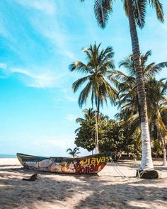 a boat on the beach with palm trees in the background