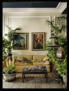 a living room filled with furniture and lots of plants