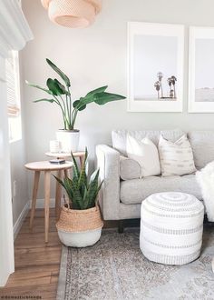 a living room with white furniture and plants on the table in front of the couch