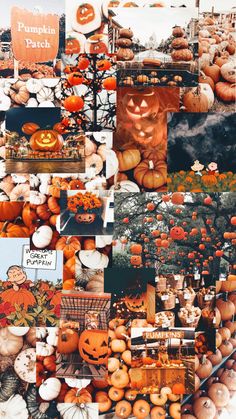 a collage of pumpkins and jack - o'- lanterns is featured in this image