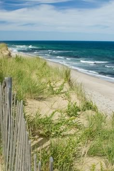 the beach is lined with tall grass and sea oats in front of the ocean