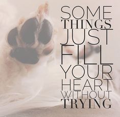 a dog's paw with the words, some things just fill your heart without trying