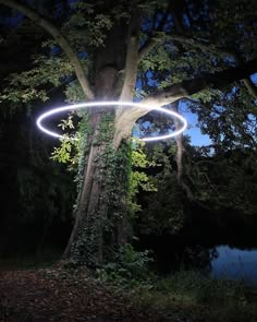 an illuminated object in the middle of a tree