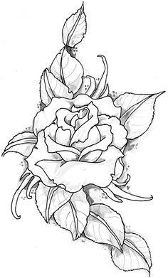 rosa Akvarel Illustration, Rose Drawing, Roses Drawing, Wood Burning Patterns, Trendy Tattoos, Flower Mandala, Rose Tattoos, Rose Tattoo, Coloring Pictures