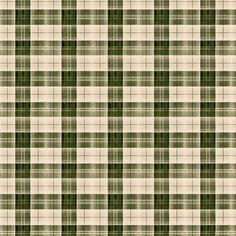 a green and white plaid pattern