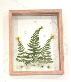 a wooden frame with some flowers and plants in it on a white wall next to a marble counter top