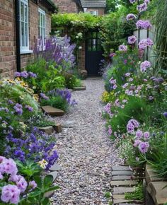 a garden with purple flowers and gravel path leading to a brick building in the background