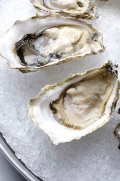 three oysters on an ice covered platter