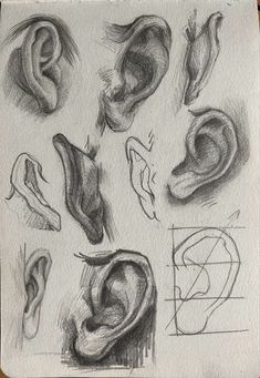 some drawings of ear parts on a piece of paper