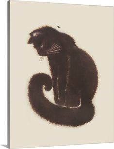 a black cat sitting on top of a white wall with its tail curled in the shape of a s