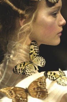 a woman with two butterflies in her hair