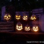 pumpkins lit up in the dark with faces carved into them and eyes glowing from their mouths