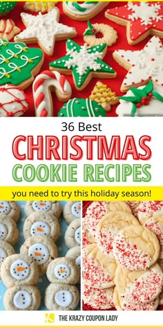 the best christmas cookie recipes you need to try this holiday season and enjoy it all