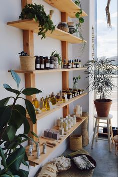 the shelves are filled with various bottles and plants on them, along with other items