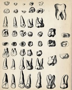 an old book with drawings of different types of feet