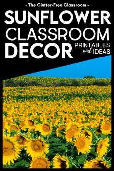 the sunflower classroom decor printables and ideas book is shown in front of a field of sunflowers