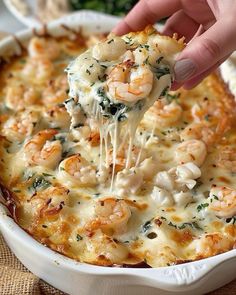 a person is dipping some food into a casserole dish with shrimp and cheese