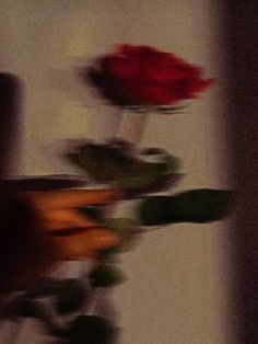 blurry photograph of red roses in vases on table next to window sill