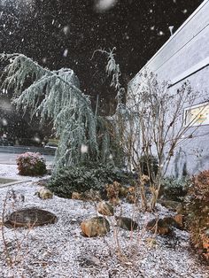 snow falling on the ground and trees in front of a building with rocks, plants and bushes