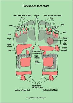 Foot Reflexology Chart – Complete Guide for Reflexology Foot Chart Reflexology Techniques, Reflexology Points, Shiatsu Massage Acupressure, Diagram Chart, Shiatsu Massage