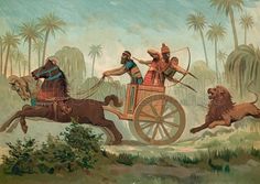 two men riding on the back of a horse drawn carriage in front of palm trees