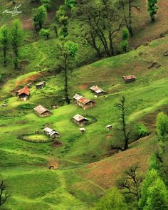 an aerial view of some small houses in the middle of a green field with trees