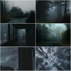 multiple shots of the inside of a house in the woods and trees, with rain falling on the windows